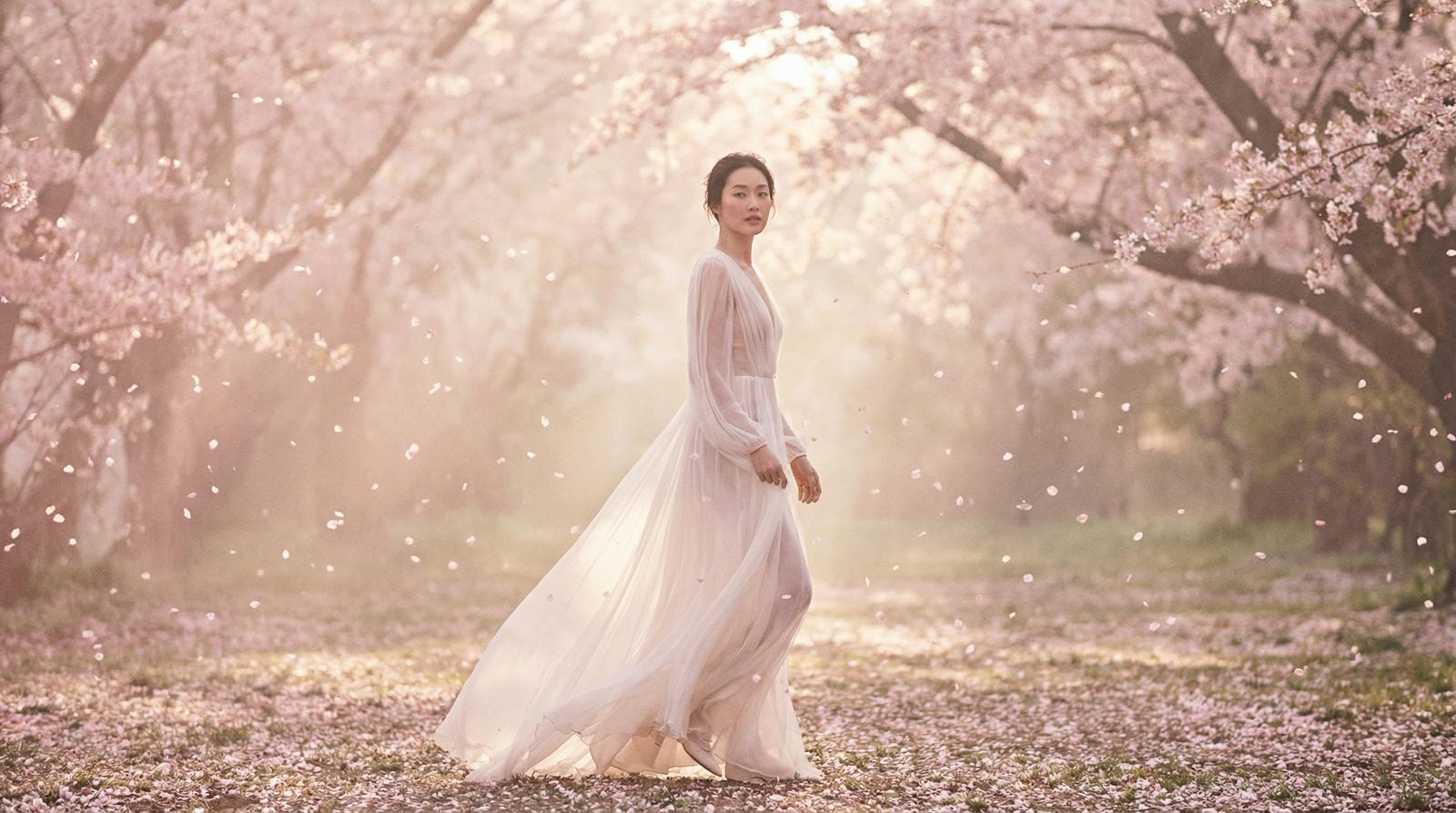 糖心vlog樱花季唯美视频